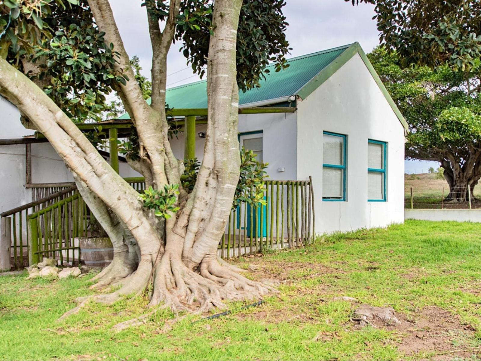 Appartamento Wiggins Self Catering Jacobs Bay Esterno foto