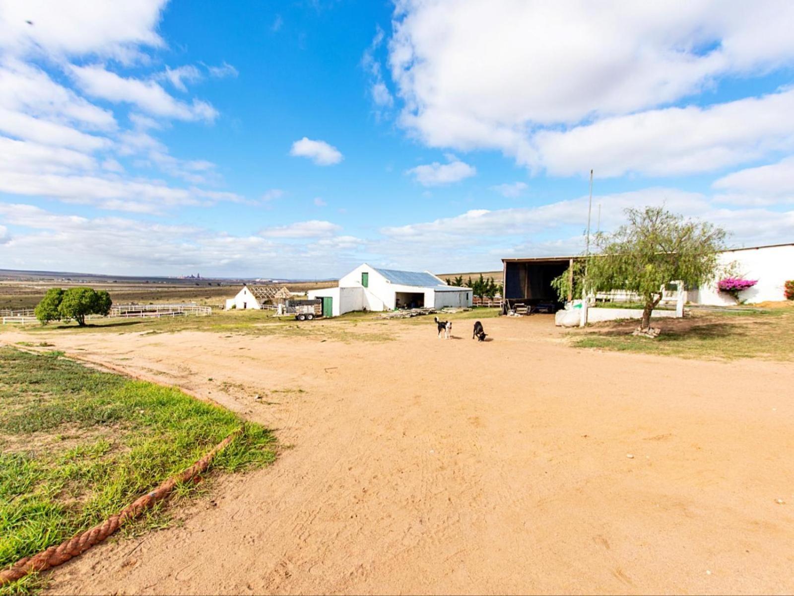 Appartamento Wiggins Self Catering Jacobs Bay Esterno foto